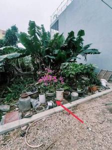 BÁN NHÀ ĐA TỐN - GIÁ RẺ - ĐẤT RỘNG - CƠ HỘI ĐẦU TƯ